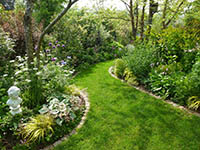 Notre société de Jardinage et de paysage à Buhl-Lorraine