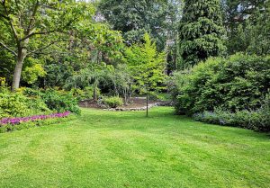 Optimiser l'expérience du jardin à Buhl-Lorraine