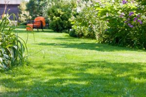 travaux jardin et paysage Buhl-Lorraine